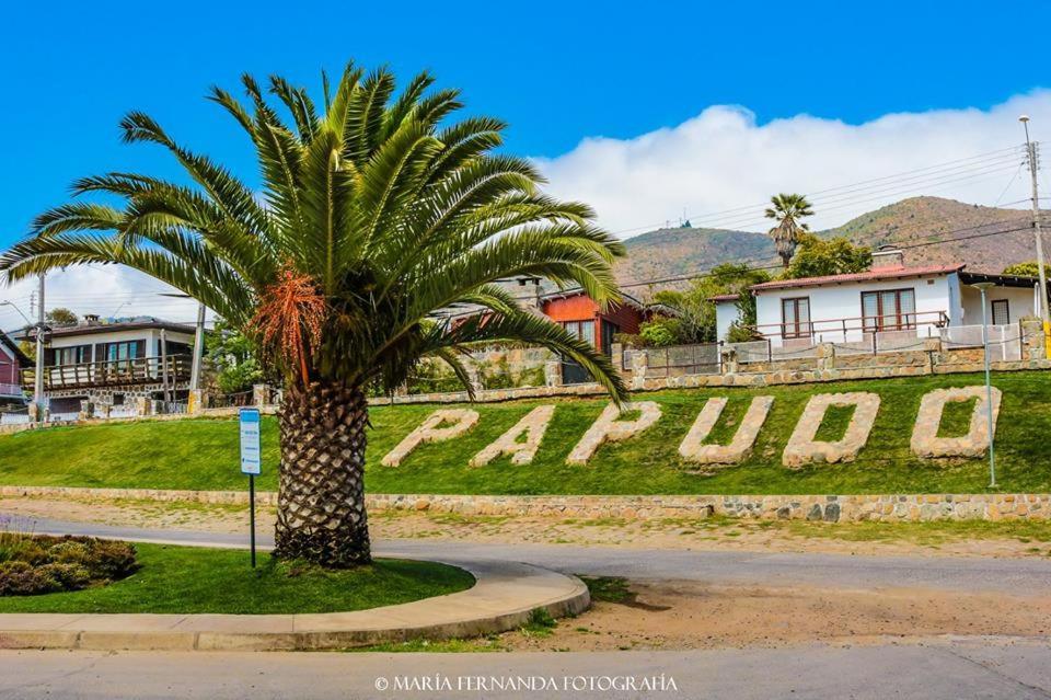 Haydee Lomas De Papudo IV Apartment Exterior photo